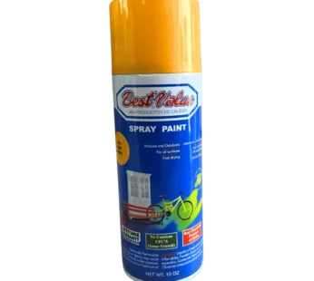 Best Value Spray Paint Orange 10oz